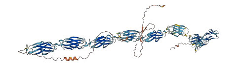 FCRL5 3D structure