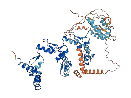 ZNF300 3D structure