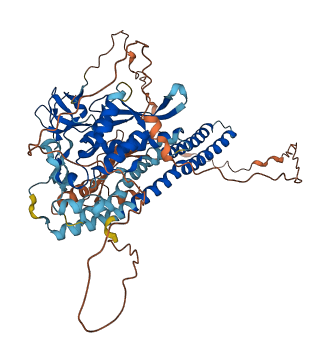 SNX18 3D structure