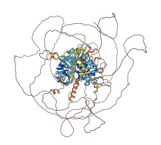 PASK 3D structure