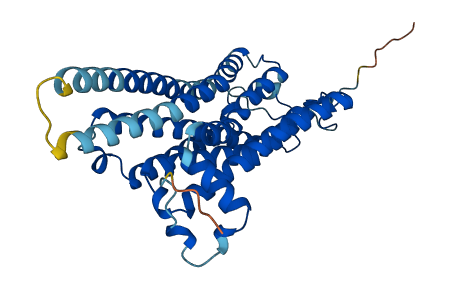 TAAR9 3D structure