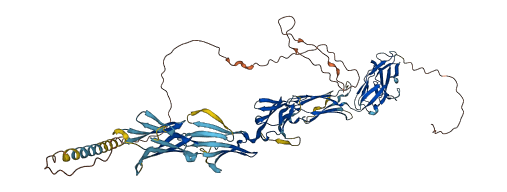 SIGLEC11 3D structure