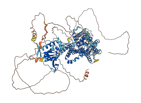 SLC26A8 3D structure