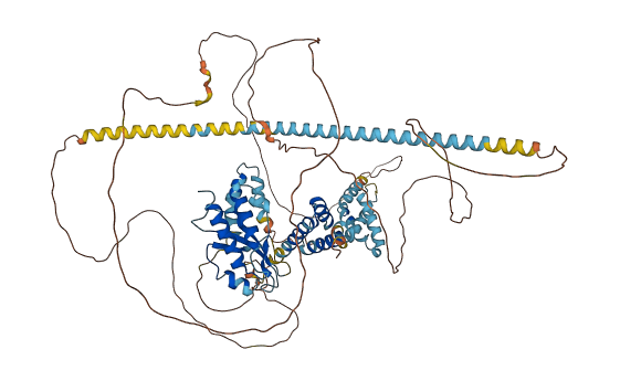 MED15 3D structure
