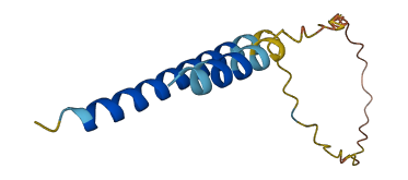 UCN2 3D structure