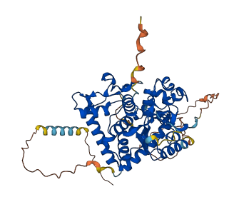 GAL3ST4 3D structure