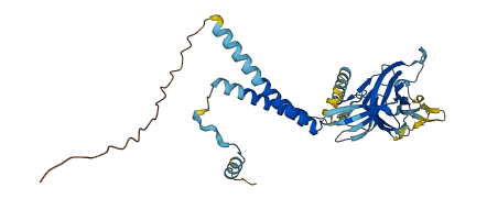 ERGIC2 3D structure
