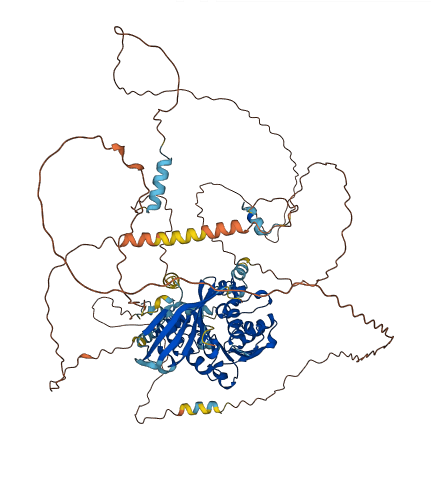 TGS1 3D structure