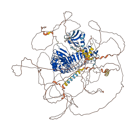 ERBIN 3D structure