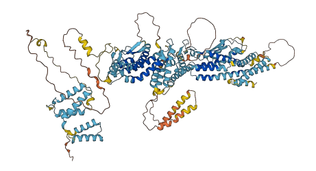 TUBGCP5 3D structure