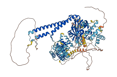 USP28 3D structure