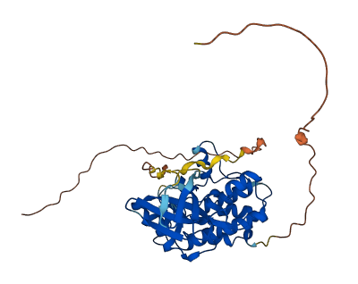 TRIB3 3D structure