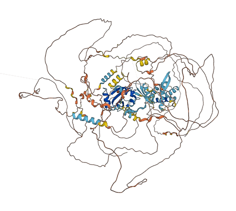 CRAMP1 3D structure