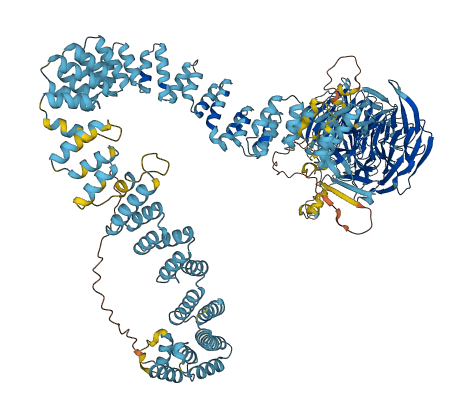 IFT140 3D structure