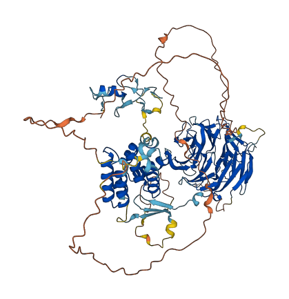 WDR24 3D structure