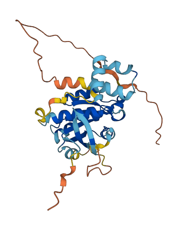 RAB40C 3D structure