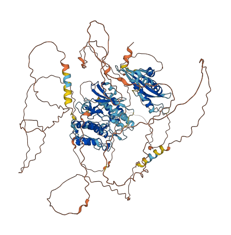 RPS6KC1 3D structure