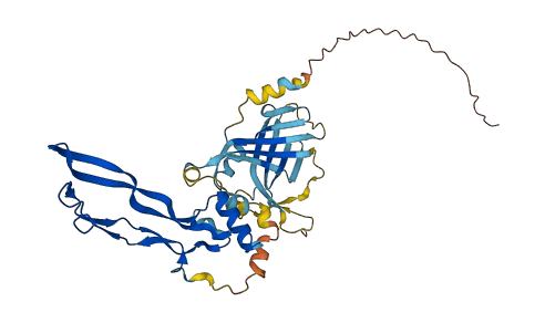 NODAL 3D structure