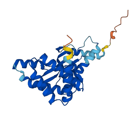 TP53RK 3D structure