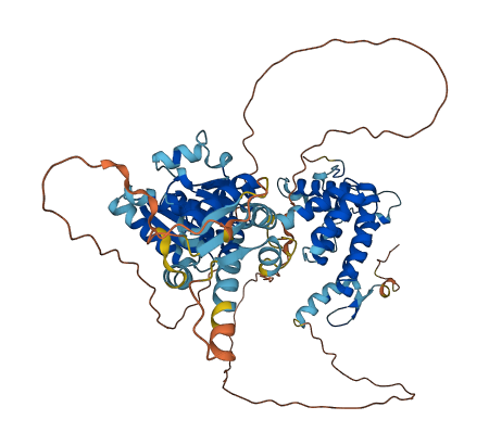 WRNIP1 3D structure