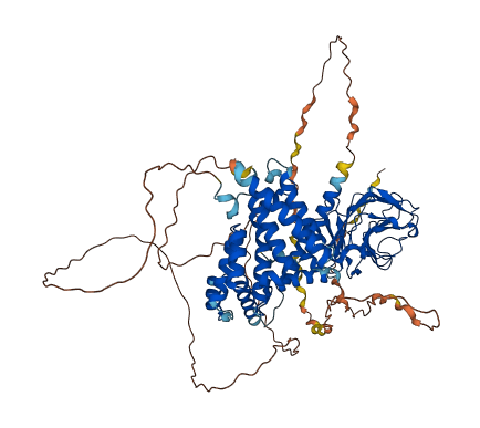 RANBP9 3D structure