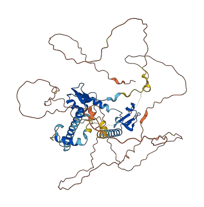 CSRNP1 3D structure