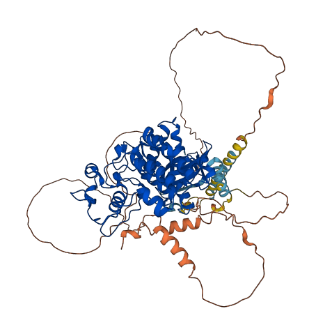 SRPK1 3D structure