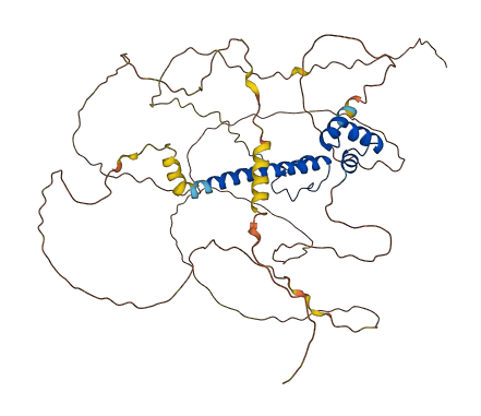 DMRTA2 3D structure