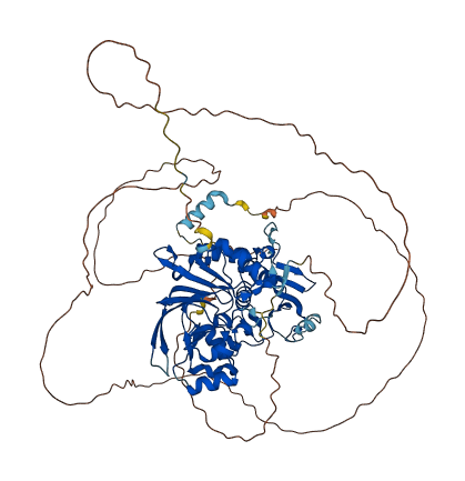 DCLRE1C 3D structure
