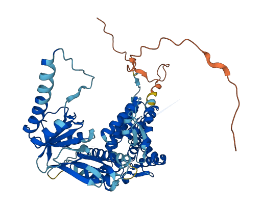 CCT8L2 3D structure