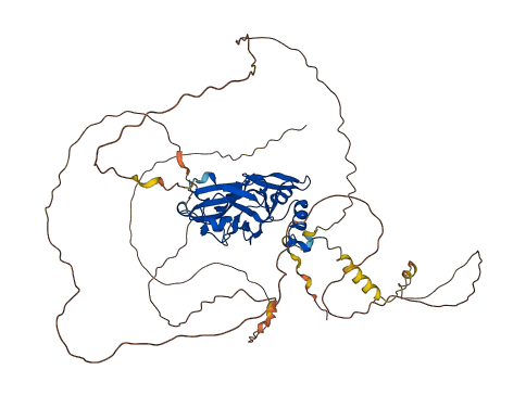 TBX15 3D structure