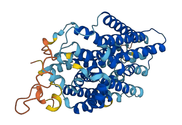 SLC49A4 3D structure