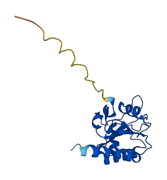GPX7 3D structure