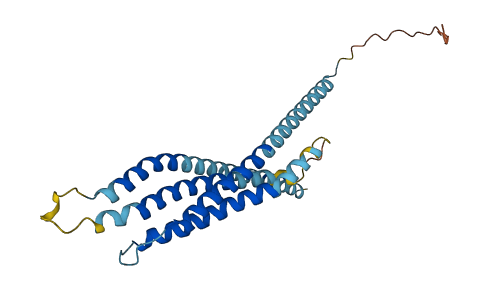 ORAI2 3D structure