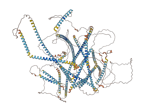 CDK5RAP2 3D structure