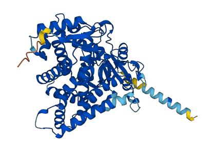 CYP2S1 3D structure