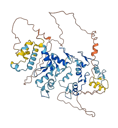 ZNF382 3D structure