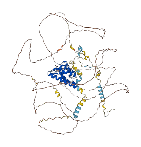 IWS1 3D structure