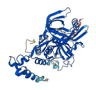 CRBN 3D structure