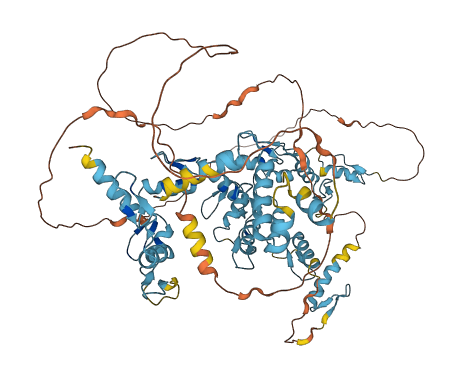 ZSCAN10 3D structure