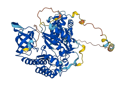 CDK5RAP1 3D structure