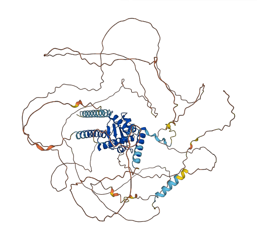 SECISBP2 3D structure