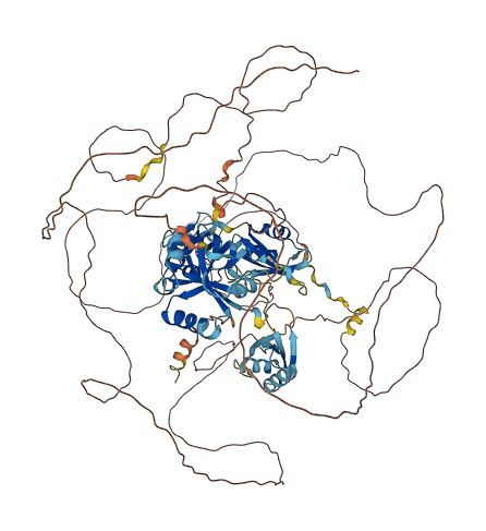RBM15 3D structure