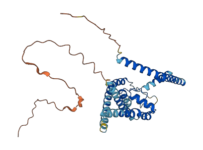 KCNK17 3D structure
