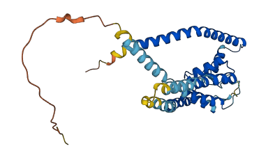 KCNK16 3D structure