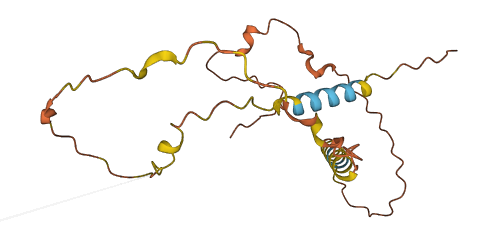 CDRT15 3D structure