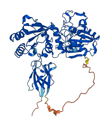 PNKP 3D structure