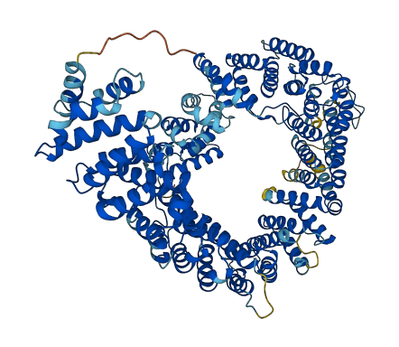 MMS19 3D structure