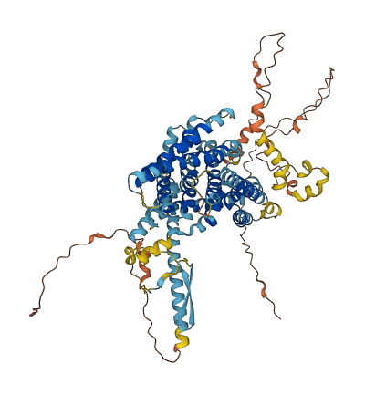 SLC9A7 3D structure