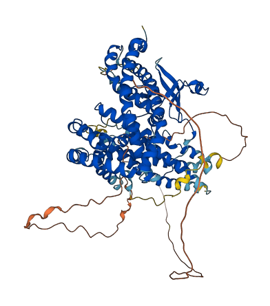 NIBAN2 3D structure